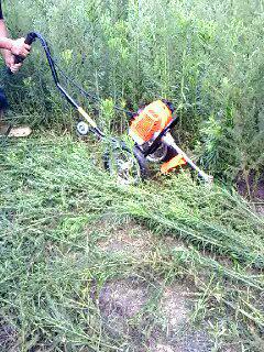 手推式割草機(jī) 手推式割草機(jī)